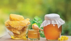 Organic Honey